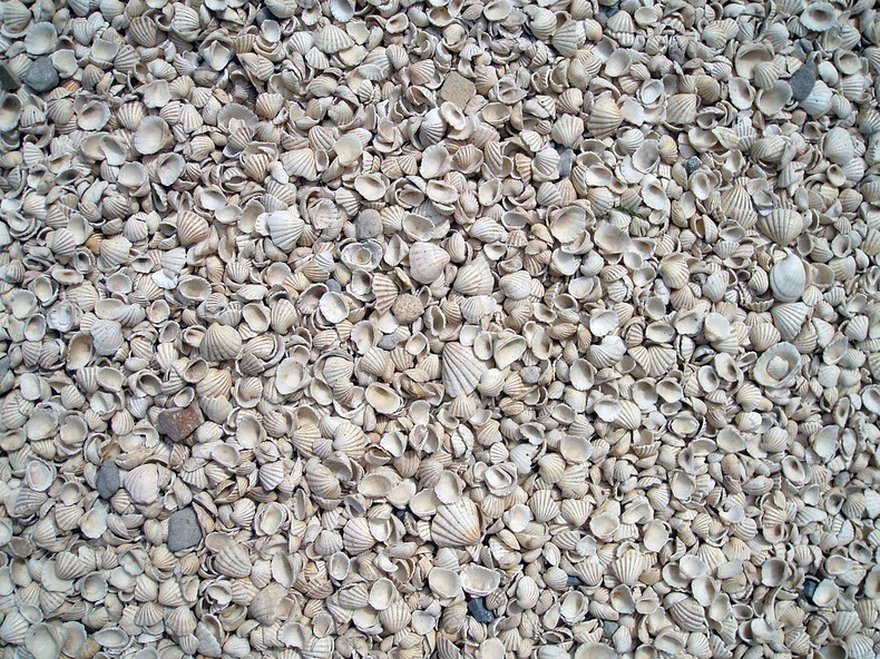 The roads on the island are made of shells