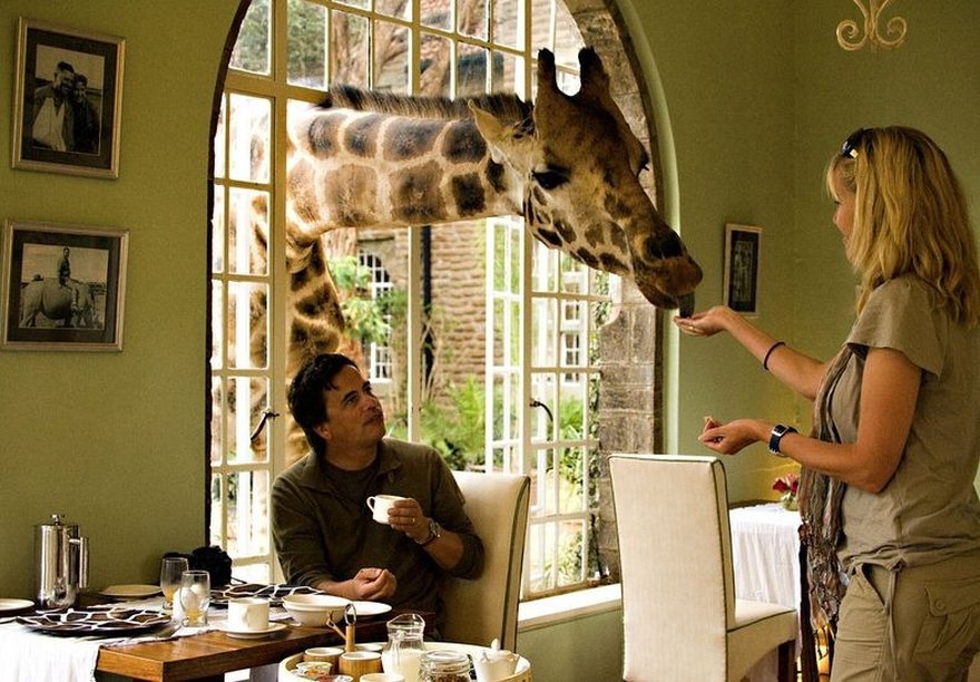 Giraffe Manor - Kenya
