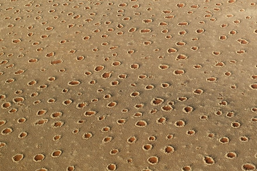 Mysterious fairy circles - Namibia