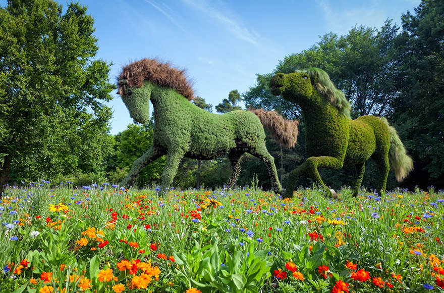 Horse plant sculpture
