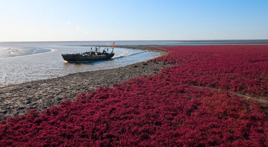 Boat anchored in Panjin