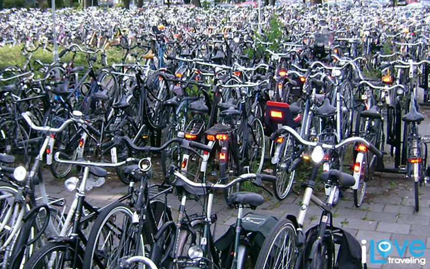 Cyclists - Amsterdam