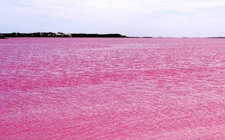 Pink water lake Hillier - Australia