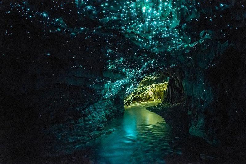 Waitomo Glowworms Caves - New Zealand